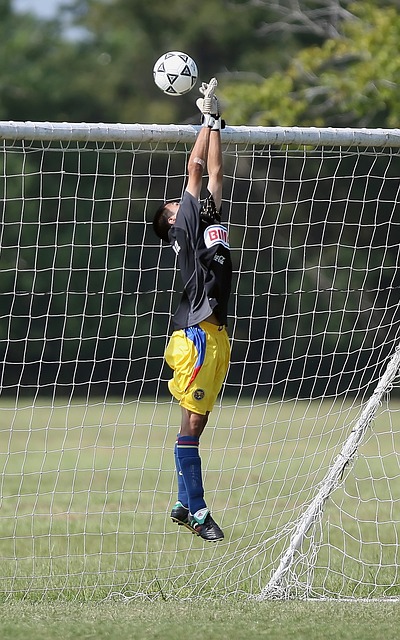 有目共睹 有目共睹