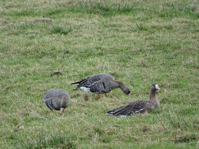 给了这些年 给了这些年