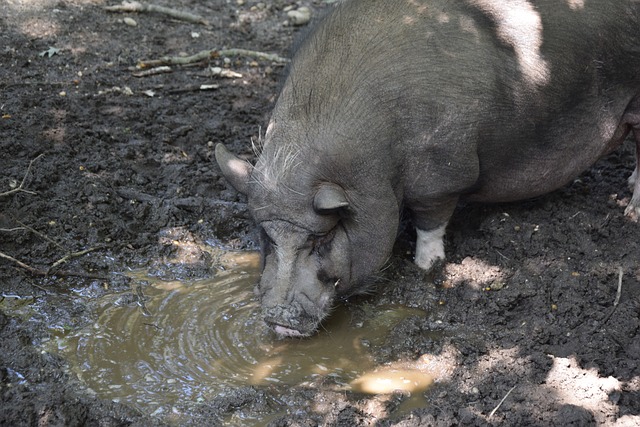 報價更是達 報價更是達