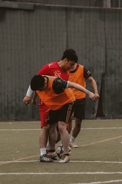 提供了方向 提供了方向
